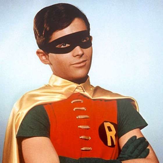 Robin